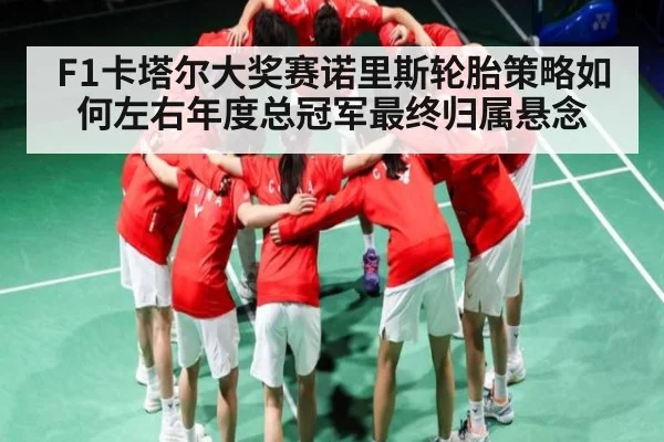 F1卡塔尔大奖赛诺里斯轮胎策略如何左右年度总冠军最终归属悬念